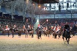 Cavalry - 00267
